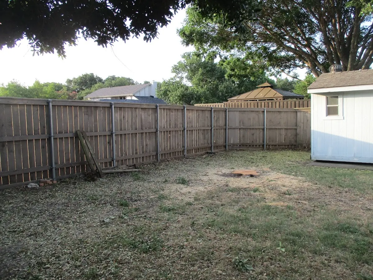 Cleared yard after professional tree removal in Woodburn